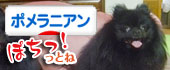 にほんブログ村