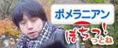 にほんブログ村