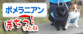 にほんブログ村