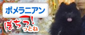にほんブログ村