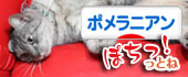 にほんブログ村