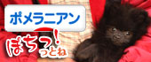 にほんブログ村
