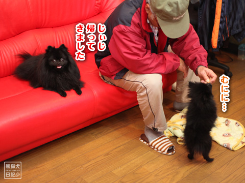 20121221_志熊&真熊3