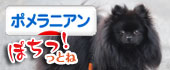 にほんブログ村