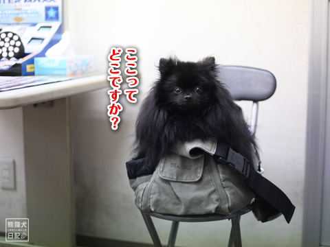 20121223_雨上がり7