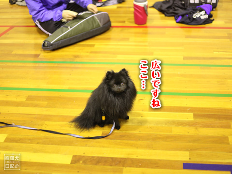 20121224_とある組織6