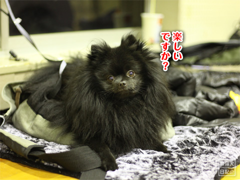 20121224_とある組織4