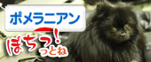にほんブログ村