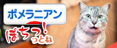 にほんブログ村