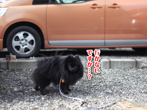 20121229_冬休み5