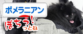 にほんブログ村