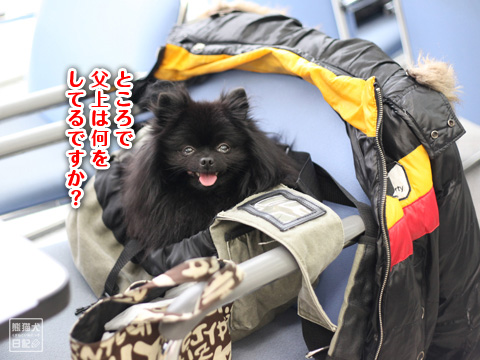 20121230_ディーラー6