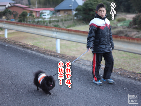 20130105_散歩4
