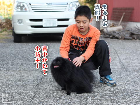 20130108_真熊VS志熊8