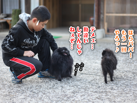 20130110_真熊VS志熊3