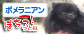 にほんブログ村