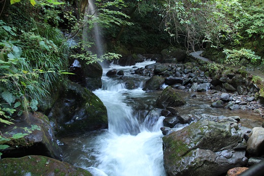 千歳川の渓流