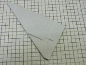 finback_120802b.jpg