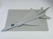 finback_120802c.jpg