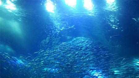 120611-01.jpg
