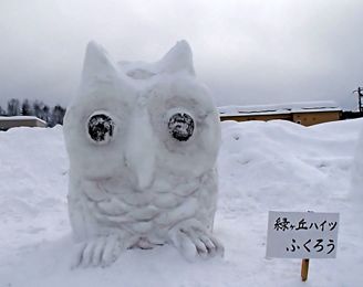2502yukimaturi_18.jpg