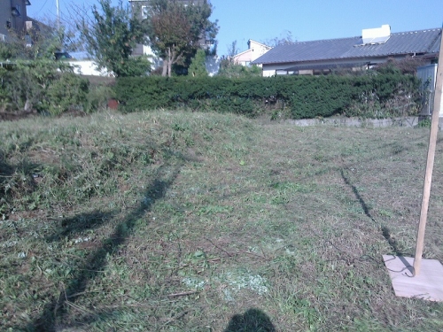 1_20141120180549e91.jpg