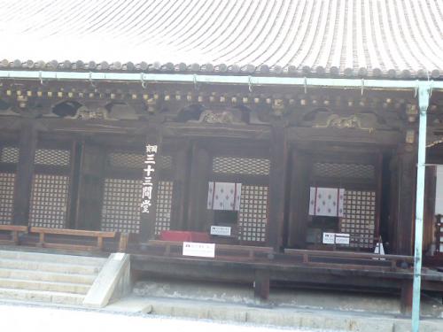 P1090288.jpg