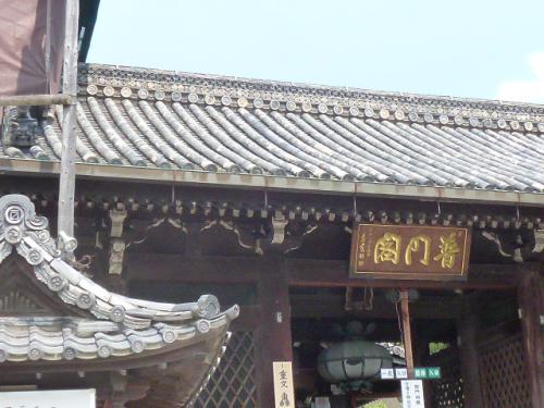 P1090291.jpg