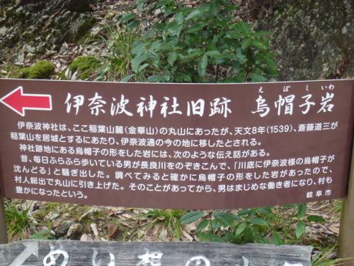 P1110981.jpg