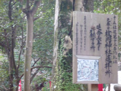 P1120679.jpg