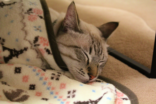 2012_1117_03.jpg