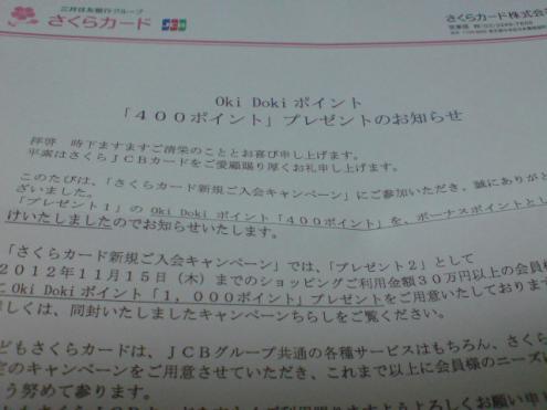 DSC01231.jpg