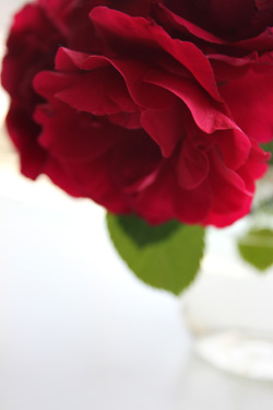 2012 373.2jpg