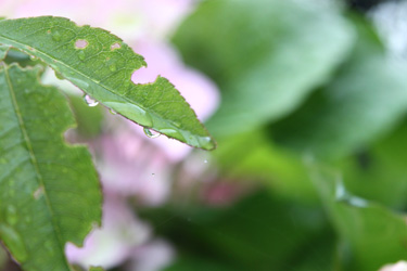 2012 426.2jpg