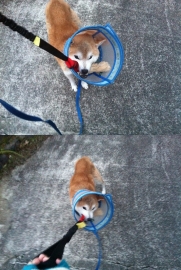 おりゃ!