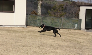 いえーい