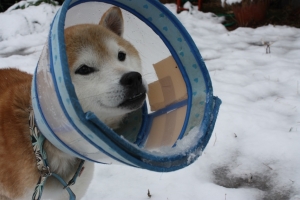 うへへ!