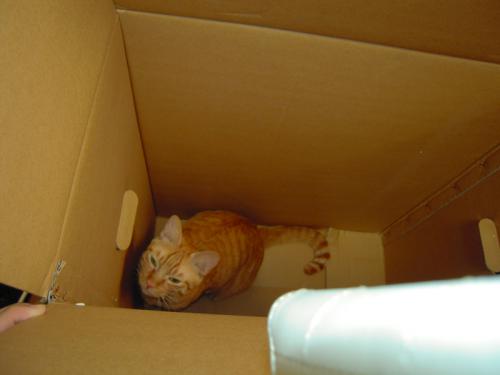 DSCN2708.jpg