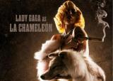 lady-gaga-345.jpg