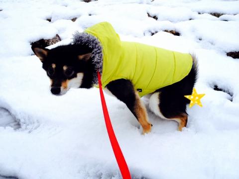 attachment00_convert_20140216011059.jpg