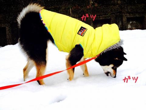 attachment02_convert_20140216011305.jpg