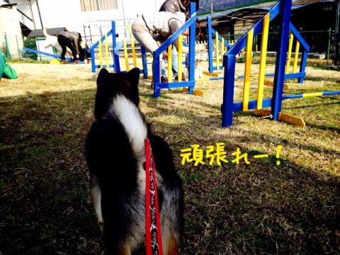 attachment02_convert_20140219001637.jpg