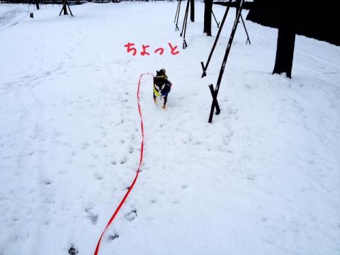 attachment03_convert_20140216011344.jpg