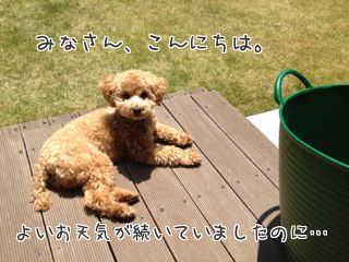 G_MR1tKGggN_fpd1370071840_1370071936.jpg