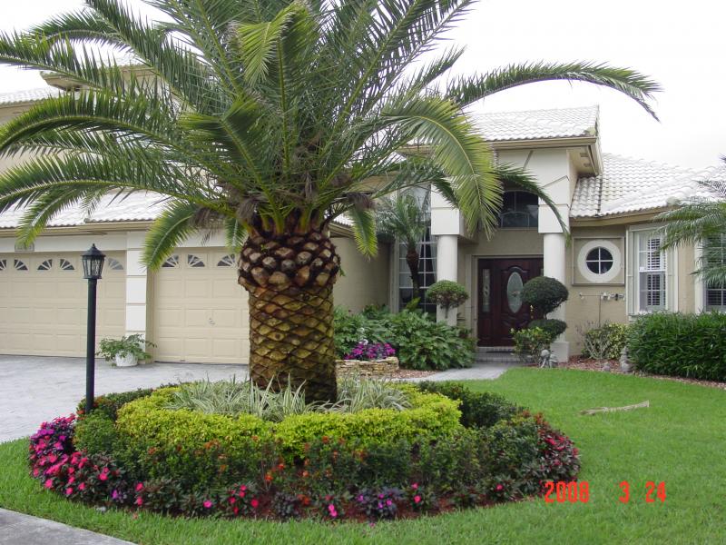 South Florida Landscaping 10 Landscaping Tips for 