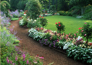 residential garden