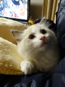 DSC01757b.jpg