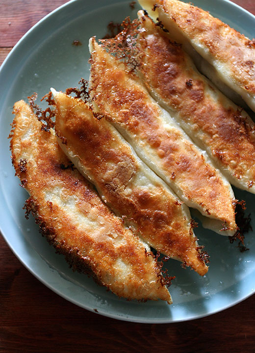 Gyoza (Size LL)