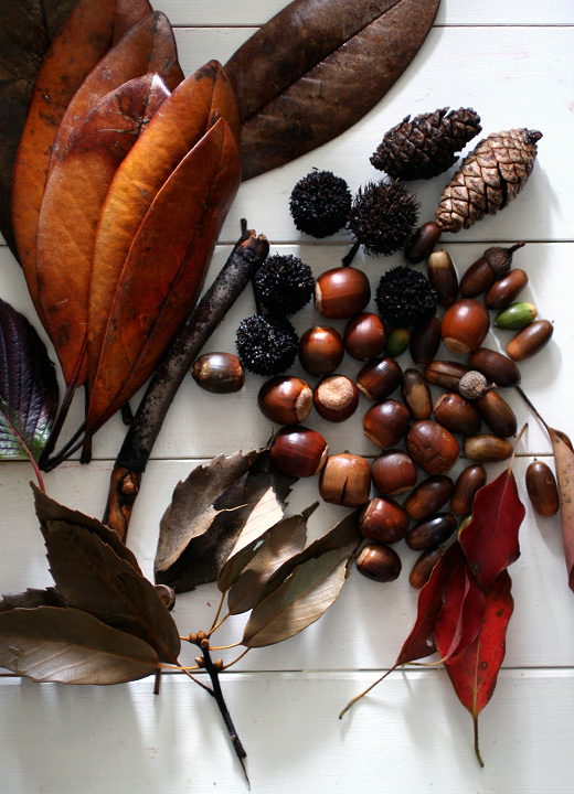 Autumn