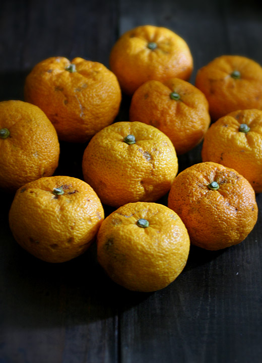 Yuzu